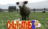 crazycattle3d